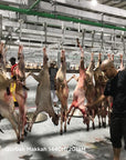 Qurban (Sheep/goat) in Makkah 2021