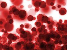 4 Basic Things About Anemia That You Should Know